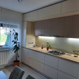 Ilfov Casa de vanzare plus spatiu comercial